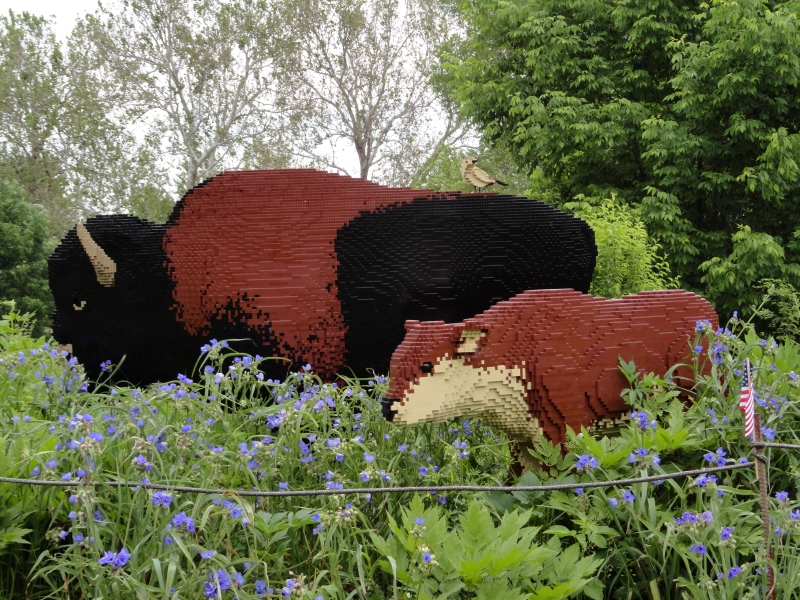 Life size LEGO models of an adult and youth bison stand amongst purple flowering grasses