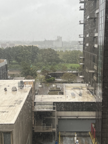 A photo of a rainy cityscape. The view from a high-rise building shows a hazy, overcast sky and a cityscape with several buildings and industrial structures in the distance. A park with trees and a fountain is partially visible, and there are rooftops and parking lots in the foreground.