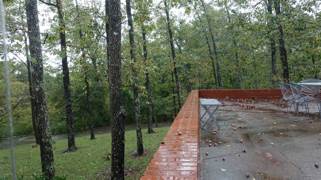 A photo of a patio overlooking a wooded area. The patio is made of concrete and has a low brick wall surrounding it. There are a few chairs and a small table on the patio, and the ground is covered in fallen leaves and rain drops. The trees in the background are tall and leafy, and the sky is overcast.